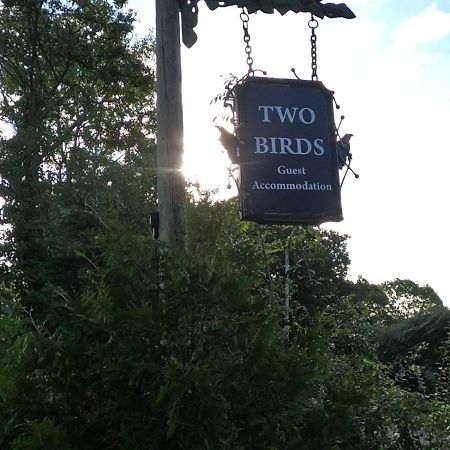 Two Birds Weekly Stay Малмсбъри Екстериор снимка